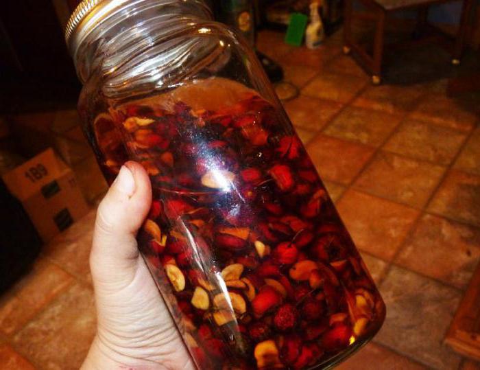 how to brew moonshine on pine nuts recipe