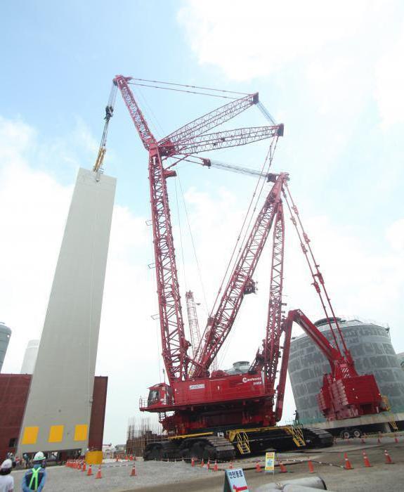 the largest tower crane