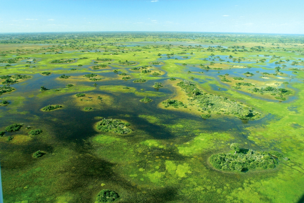 Característica do rio Okavango