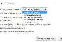 Informationen zum Browserverlauf löschen «Yandex»
