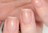 Cuticle oil: which is better choice reviews