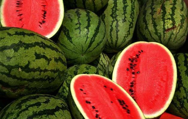 salzige Wassermelone Rezept