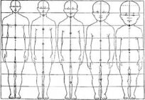 The ideal proportions of the human body - beauty through time