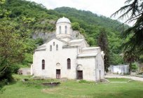 Férias na Abkházia, na Пицунде: comentários e fotos