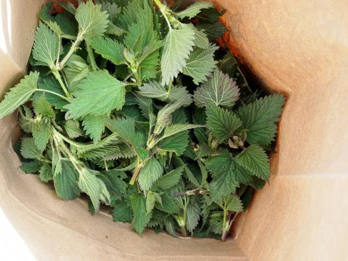how to brew nettle for hair