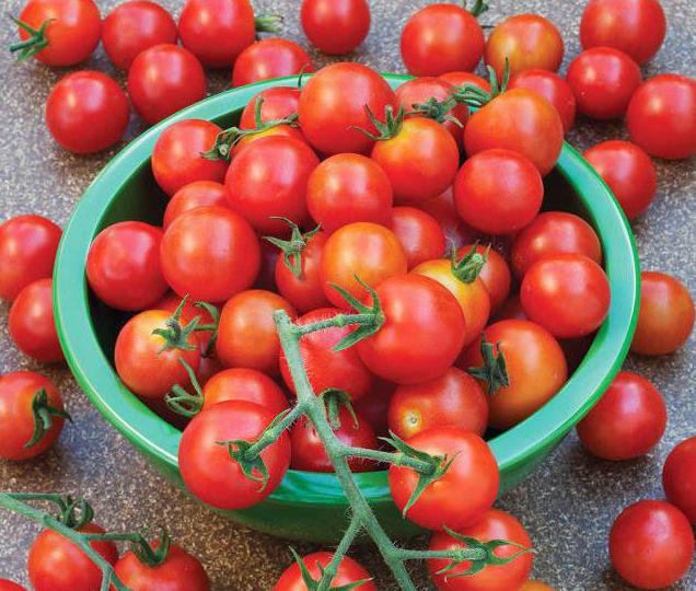 sweet variety of tomato