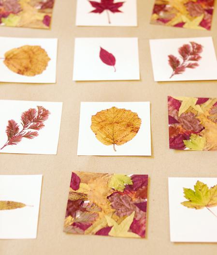 appliques from autumn leaves