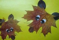 Muster der Blätter im Herbst als eine hervorragende Möglichkeit, Ihr Haus zu schmücken