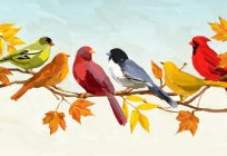 Skojarzenia z jesienią: spadające liście, grzyby, szum deszczu, ptaków, przylatujących na południe