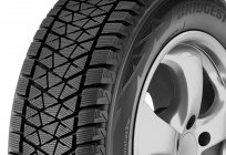 轮胎Bridgestone Blizzak DM-V2：评论