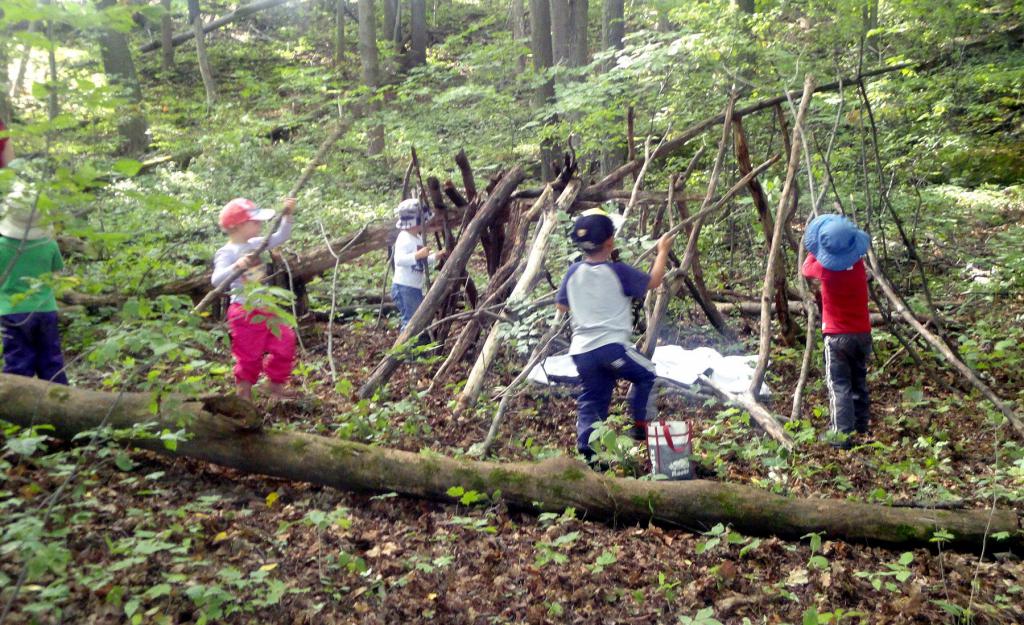 儿童建设一个树林里的小屋