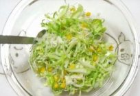Prepare crispy salad from fresh cabbage with Apple