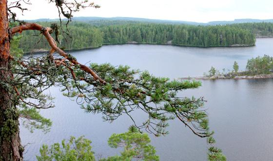 湖-Saimaa
