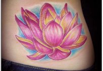 Lotus (tattoo): character value, and history