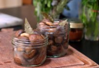 Mushroom milkweed: photo, description, features cooking