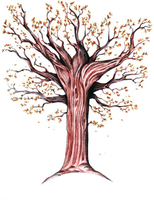 como desenhar uma árvore de outono