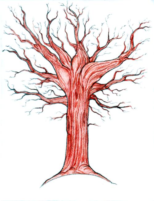 el árbol de dibujar