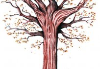 Як намалювати осіннє дерево поетапно