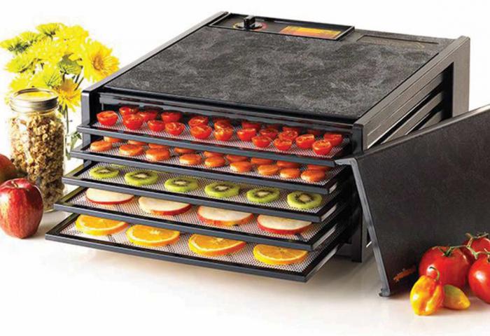 Dehydrator for vegetables and fruits