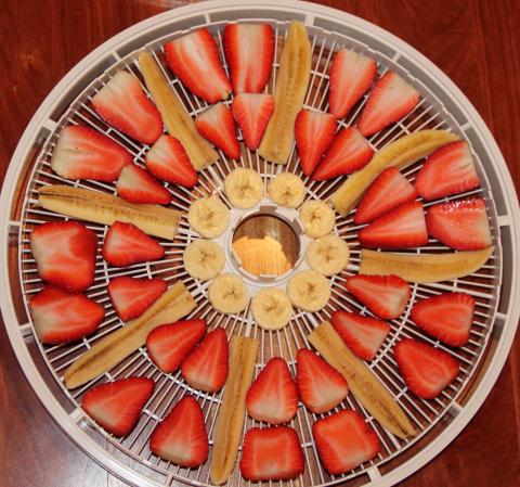 Dehydrator for fruits