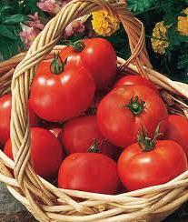 why tomatoes crack on the vine