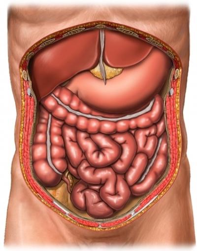 剖腹手术