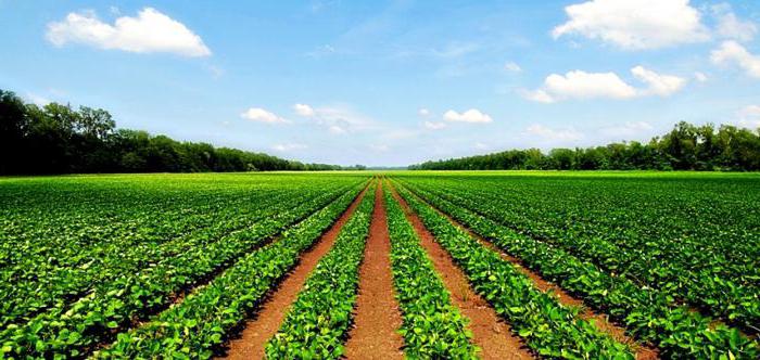 مفهوم تكوين الأراضي الزراعية الوجهة