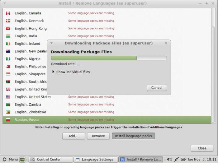 setting up linux mint after installing