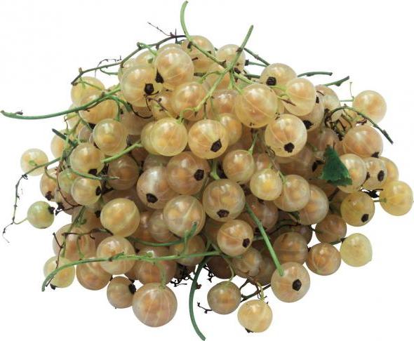how to cook white currants