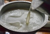 La leche de cabra: calorías por cada 100 gramos, las propiedades útiles de