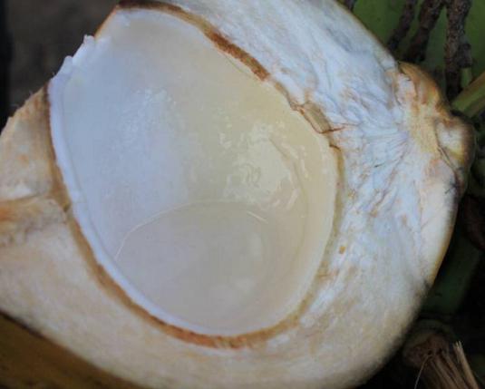кокосова вода відгуки