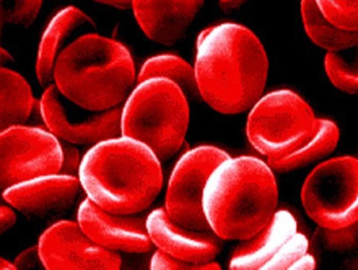 decoding the biochemical analysis of the child's blood