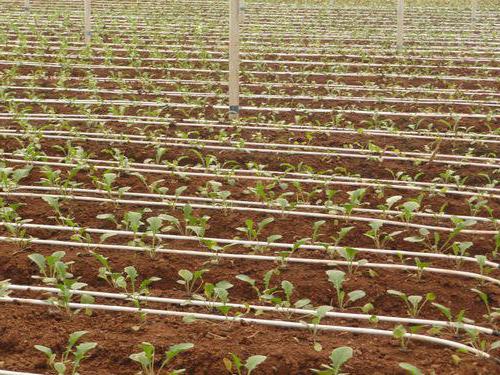 drip irrigation system for greenhouses with their hands