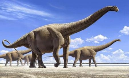 最大の恐竜の世界