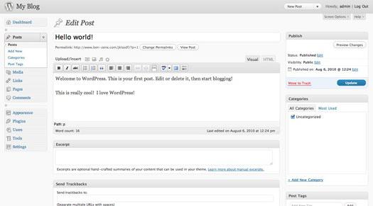 wordpress how to login to admin panel