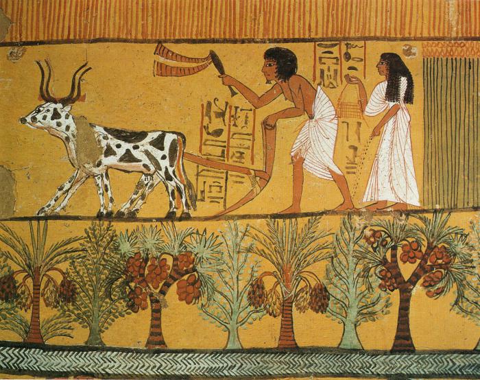 die Reliefs und Malereien des alten ägypten