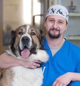 veterinary clinic Oberig in Golyanovo how to get