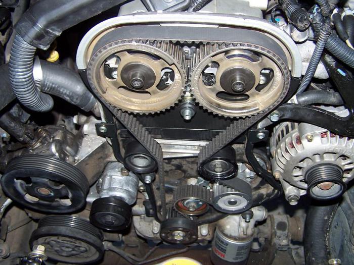 what is the timing belt