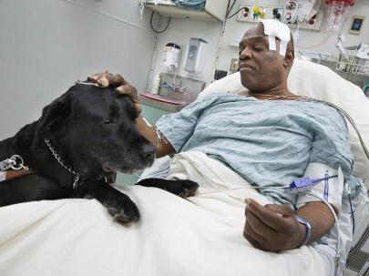 Como cães ajudam a portadores de deficiências