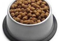 Which dog food is better?