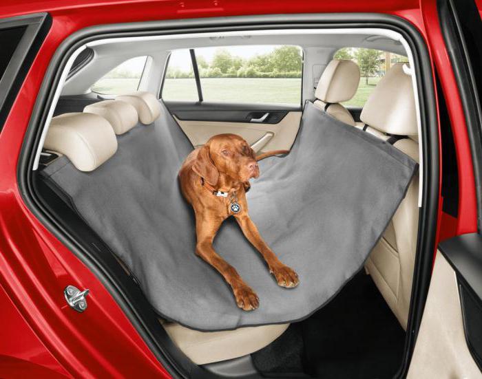 автогамаки para el transporte de perros en el coche