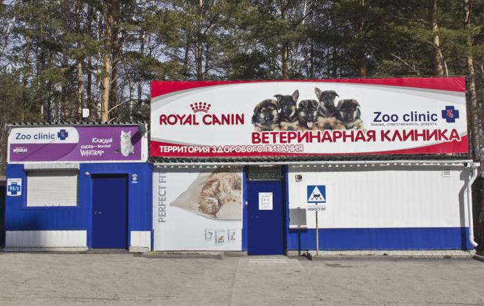 veterinary clinics of Tomsk reviews