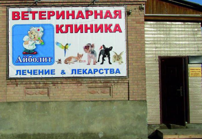 veterinary clinic veterinarian Tomsk