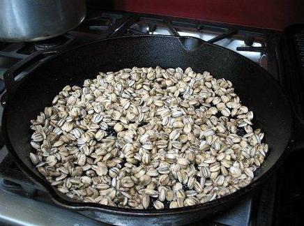 útil se frito sementes de girassol