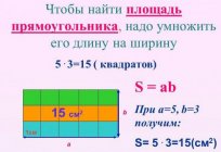 如何找到周边的矩形？ (数学)