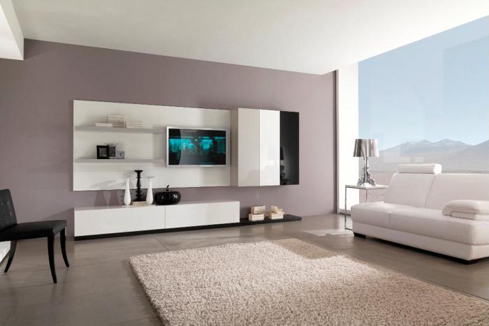 photos of living rooms modern style