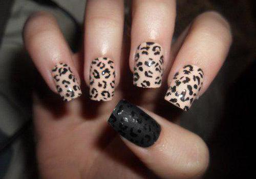 nail design leopard zdjęcia nowości