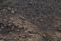 Jakie są podstawowe właściwości gleby?