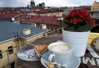 Solaris Lab Café, St. Petersburg: Beschreibung, Menü, Bewertungen von Besuchern und Adresse