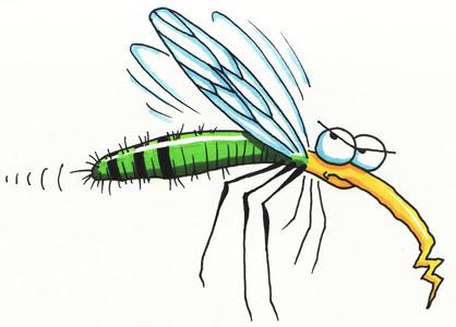 скільки живе комар